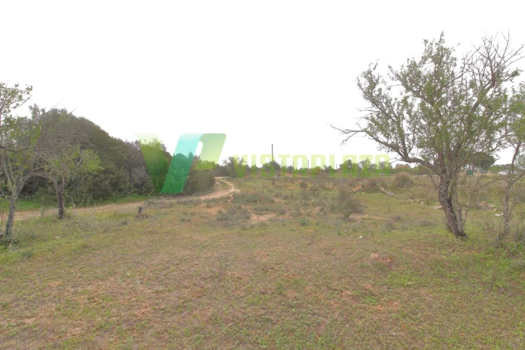 Terreno Misto para Venda em Silves Foto 3