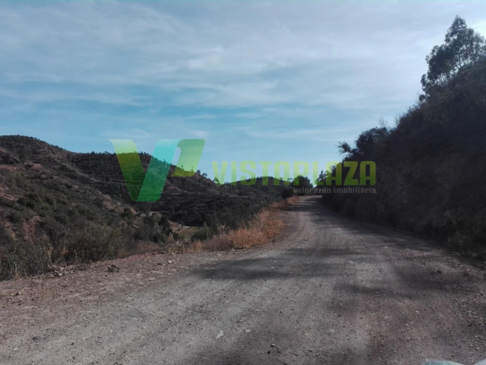 Terreno Misto para Venda em Silves Foto 10