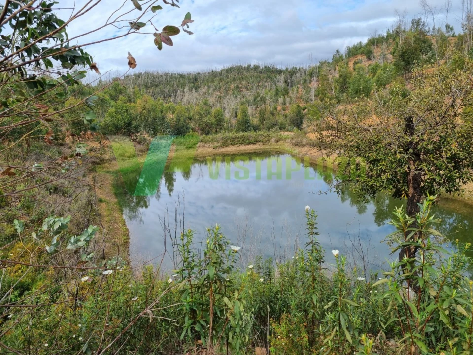 Terreno Misto para Venda em Silves Foto 1