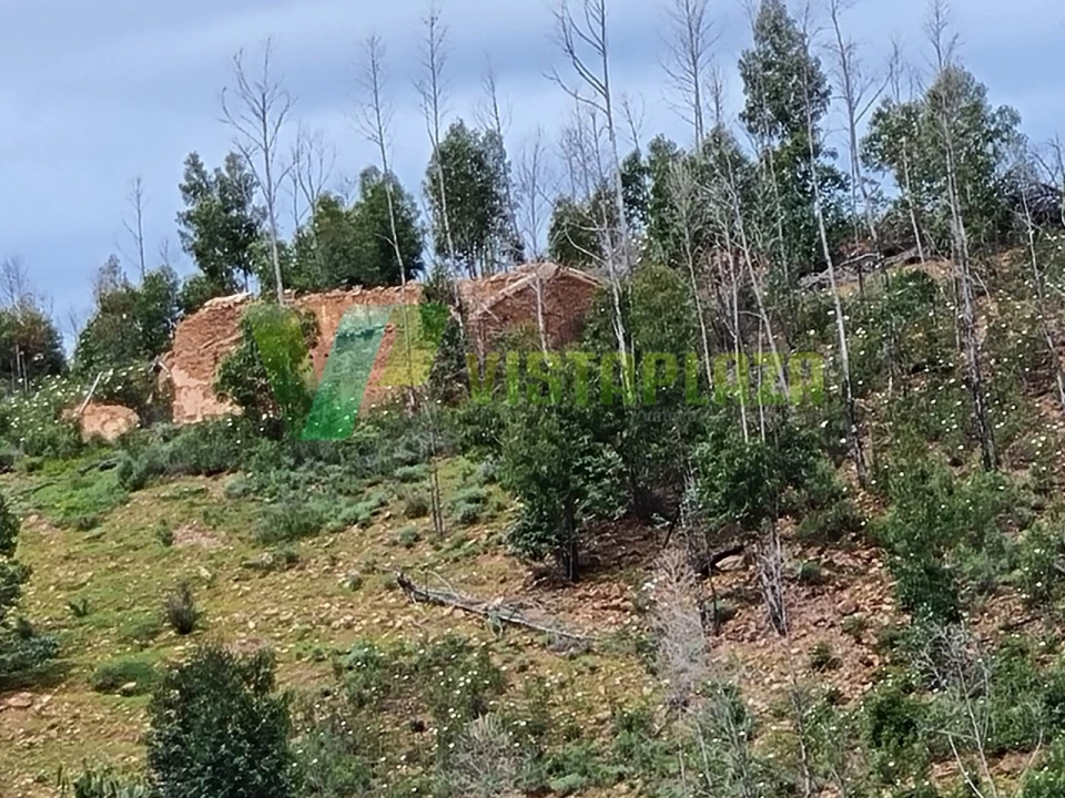 Terreno Misto para Venda em Silves Foto 4