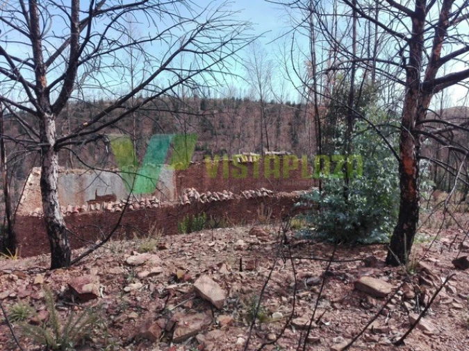 Terreno Misto para Venda em Silves Foto 5