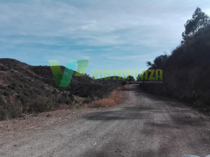 Terreno Misto para Venda em Silves Foto 10