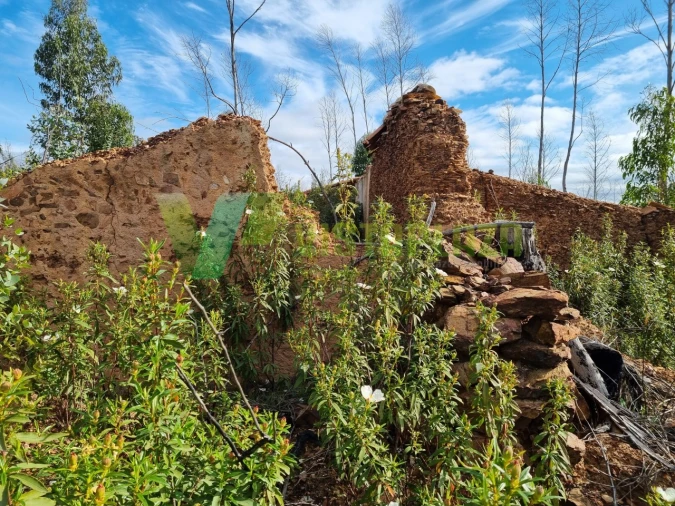 Terreno Misto para Venda em Silves Foto 3