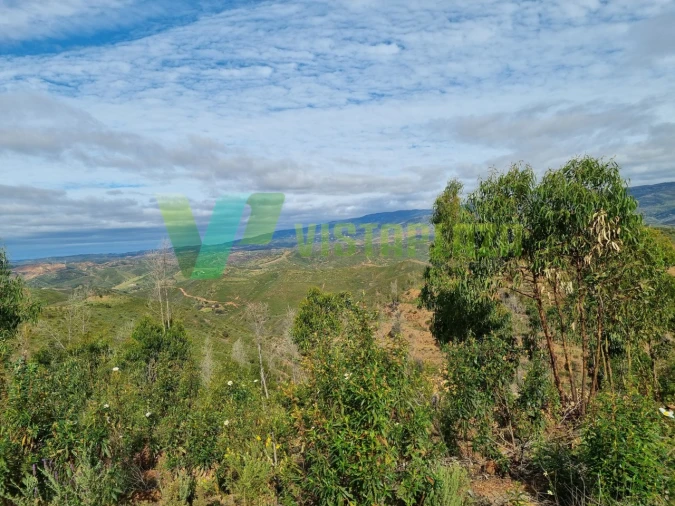 Terreno Misto para Venda em Silves Foto 8