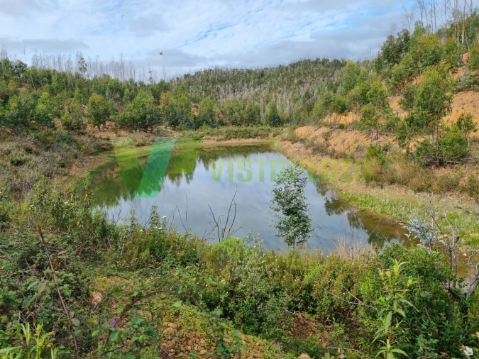 Terreno Misto para Venda em Silves Foto 6
