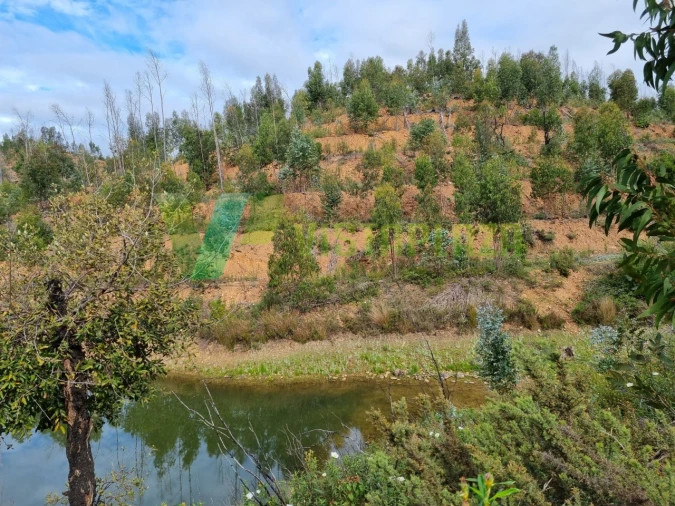 Terreno Misto para Venda em Silves Foto 7