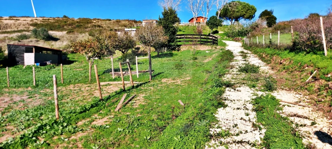 Terreno para Venda em Enxara do Bispo, Gradil e Vila Franca do Rosário Foto 3