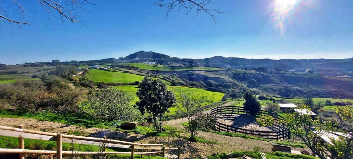 Terreno para Venda em Enxara do Bispo, Gradil e Vila Franca do Rosário Foto 11
