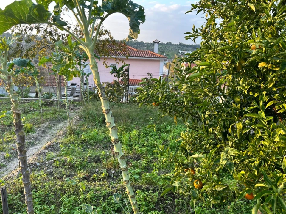 Moradia T4 para Venda em São Facundo e Vale das Mós Foto 24