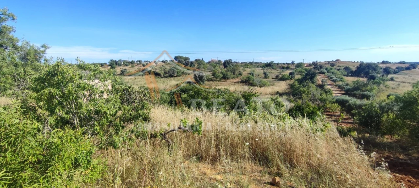 Terreno Misto para Venda em Estômbar e Parchal Foto 7