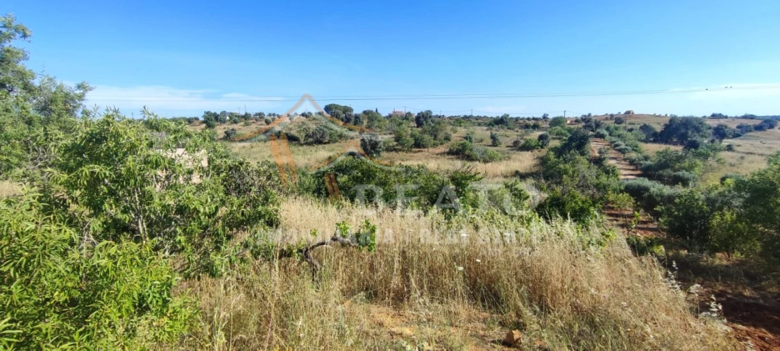 Terreno Misto para Venda em Estômbar e Parchal Foto 7