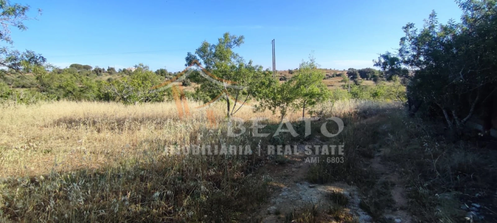 Terreno Agricola ou Rústico para Venda em Estômbar e Parchal Foto 1