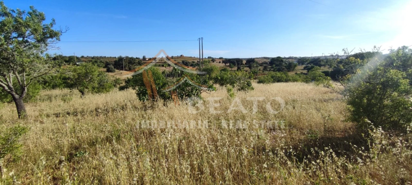 Terreno Agricola ou Rústico para Venda em Estômbar e Parchal Foto 2