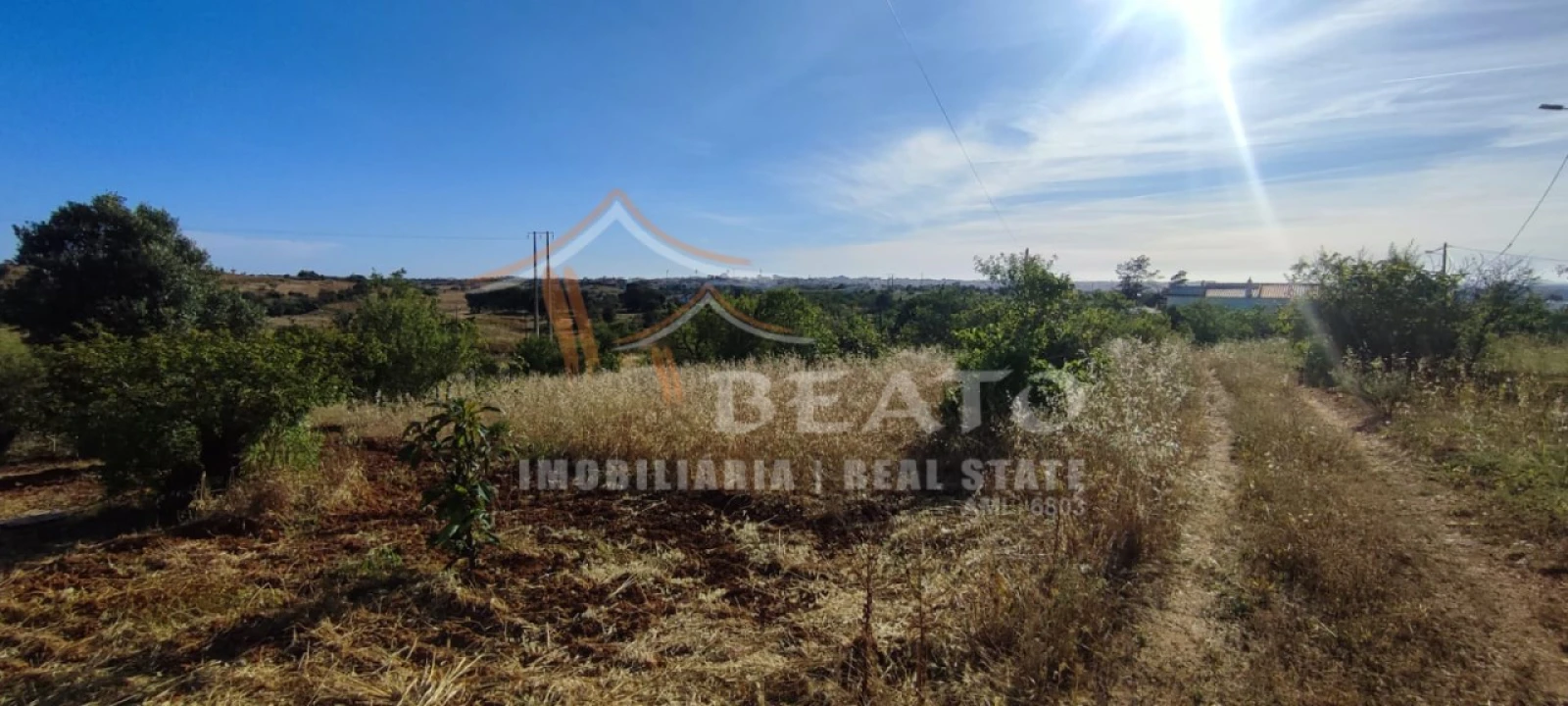 Terreno Agricola ou Rústico para Venda em Estômbar e Parchal Foto 3