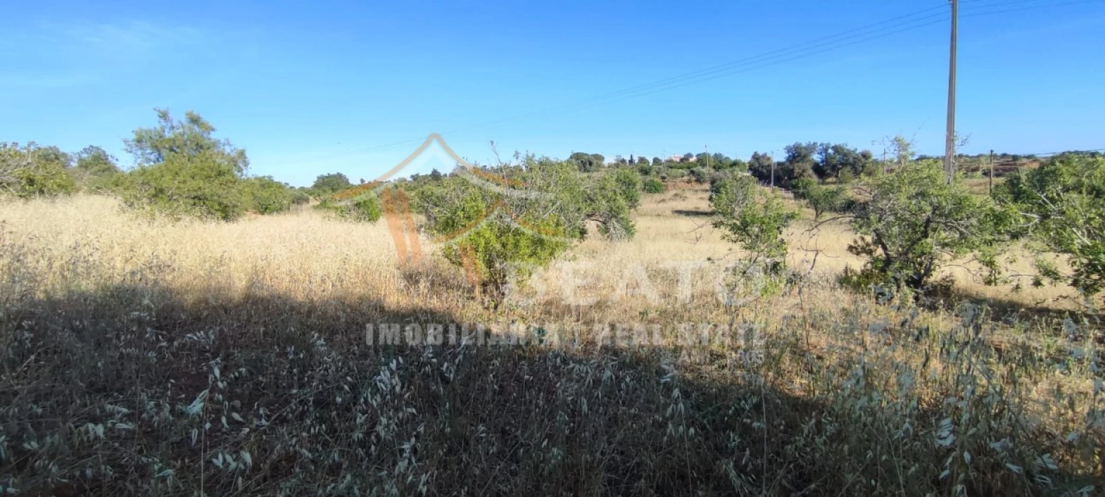 Terreno Agricola ou Rústico para Venda em Estômbar e Parchal Foto 4