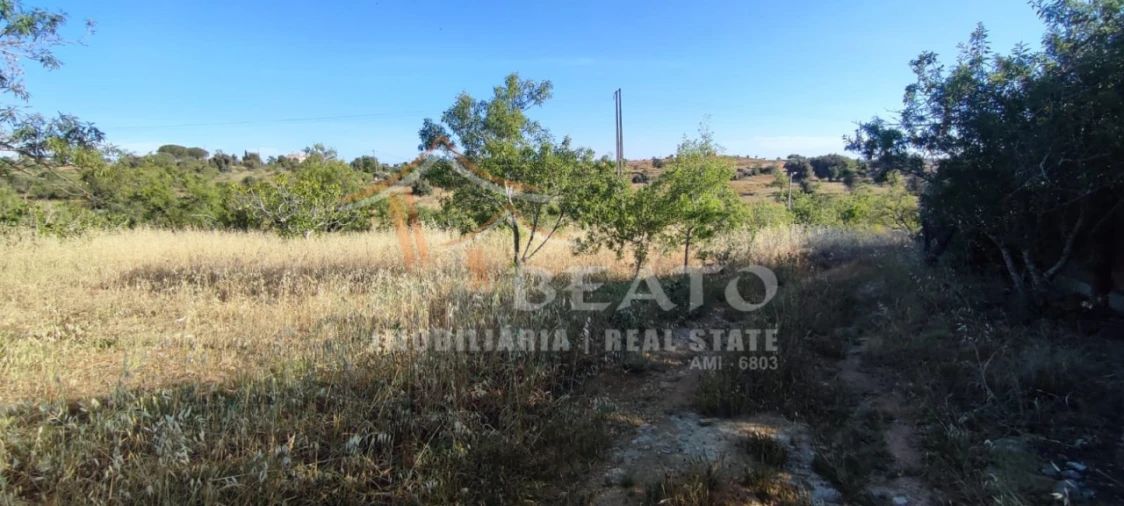 Terreno Agricola ou Rústico para Venda em Estômbar e Parchal Foto 1