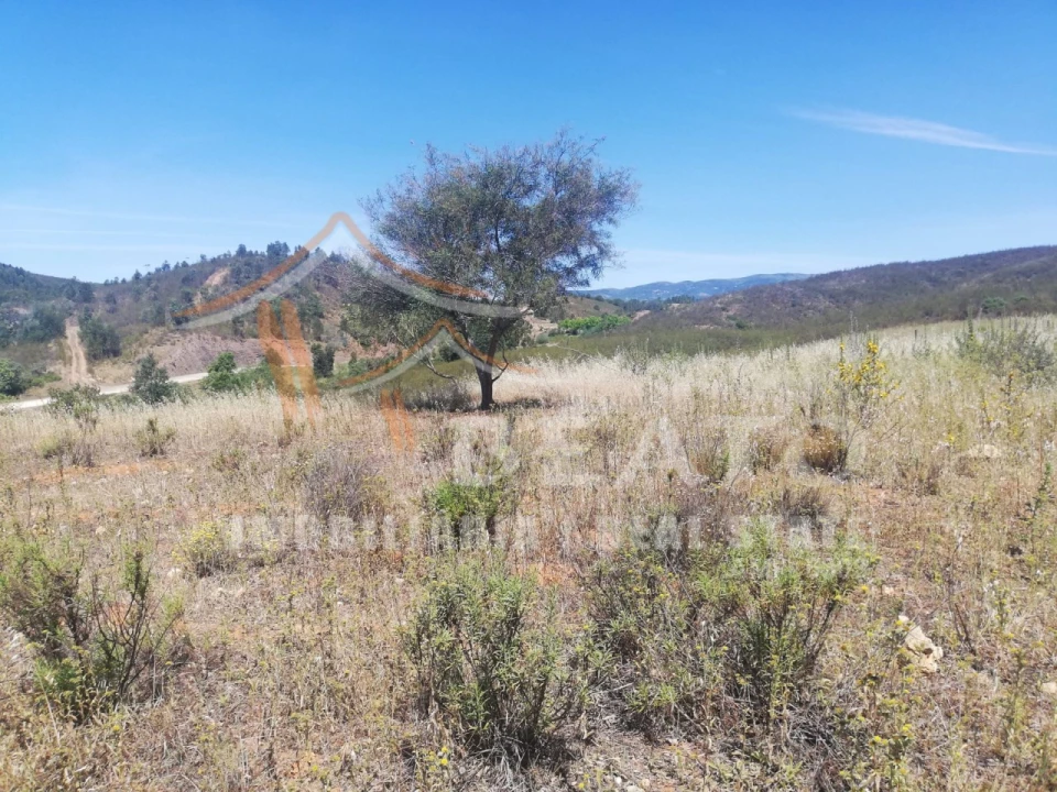 Terreno Agricola ou Rústico para Venda em Portimão Foto 6