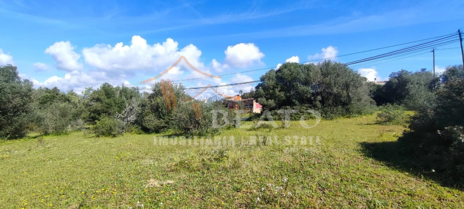 Terreno Misto para Venda em Alvor Foto 1