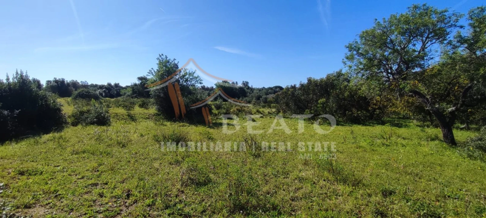 Terreno Misto para Venda em Alvor Foto 3