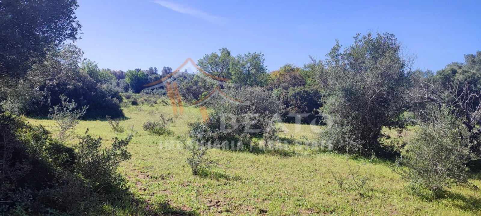 Terreno Misto para Venda em Alvor Foto 5