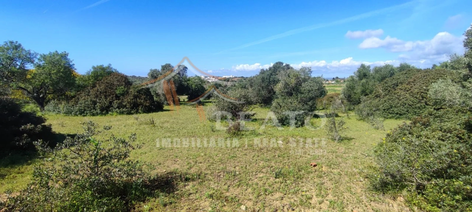 Terreno Misto para Venda em Alvor Foto 6