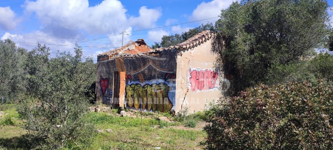Terreno Misto para Venda em Alvor Foto 2