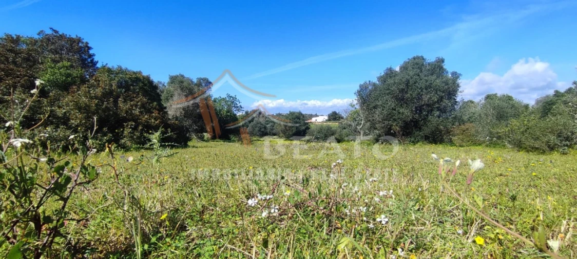 Terreno Misto para Venda em Alvor Foto 4