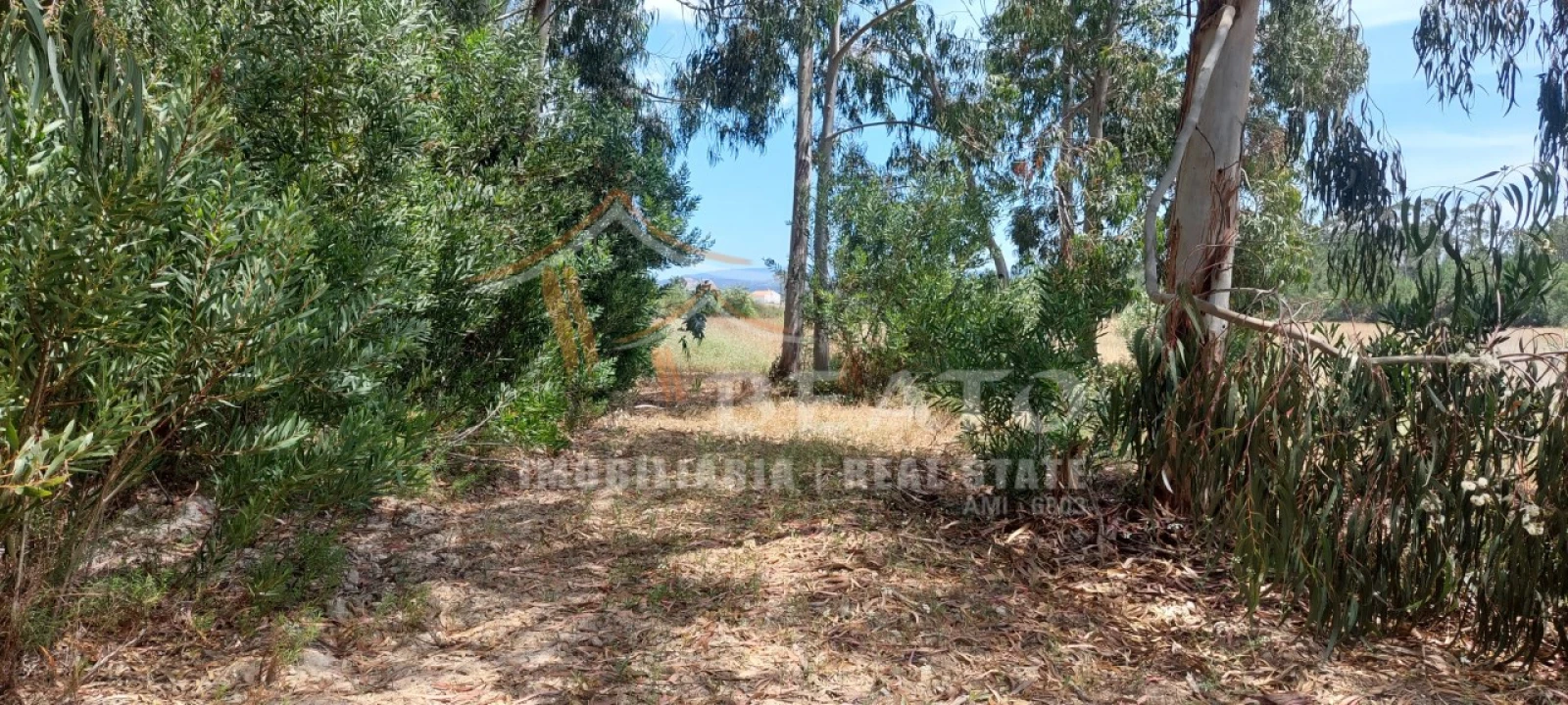 Terreno para Venda em Rogil Foto 3