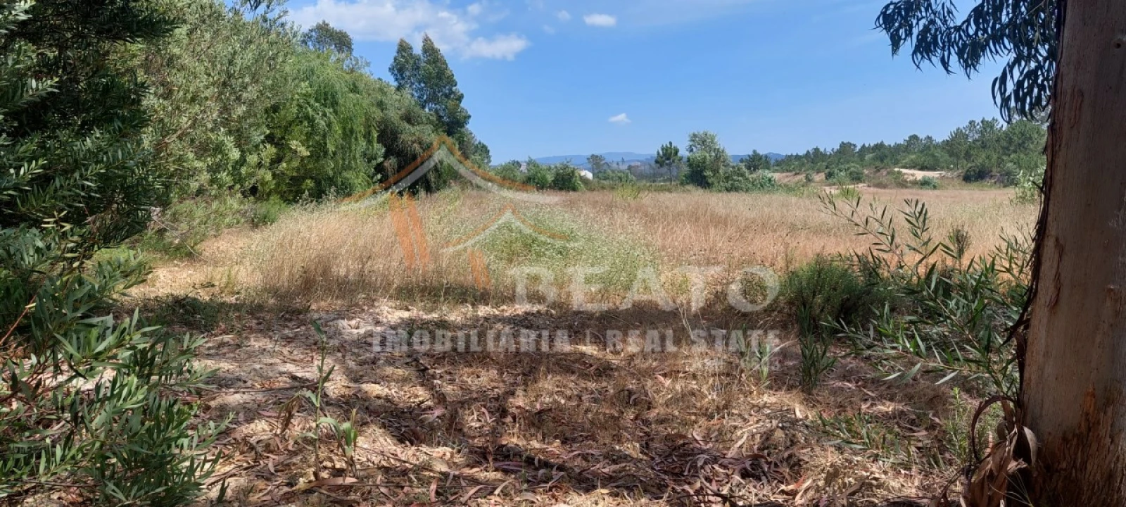 Terreno para Venda em Rogil Foto 4