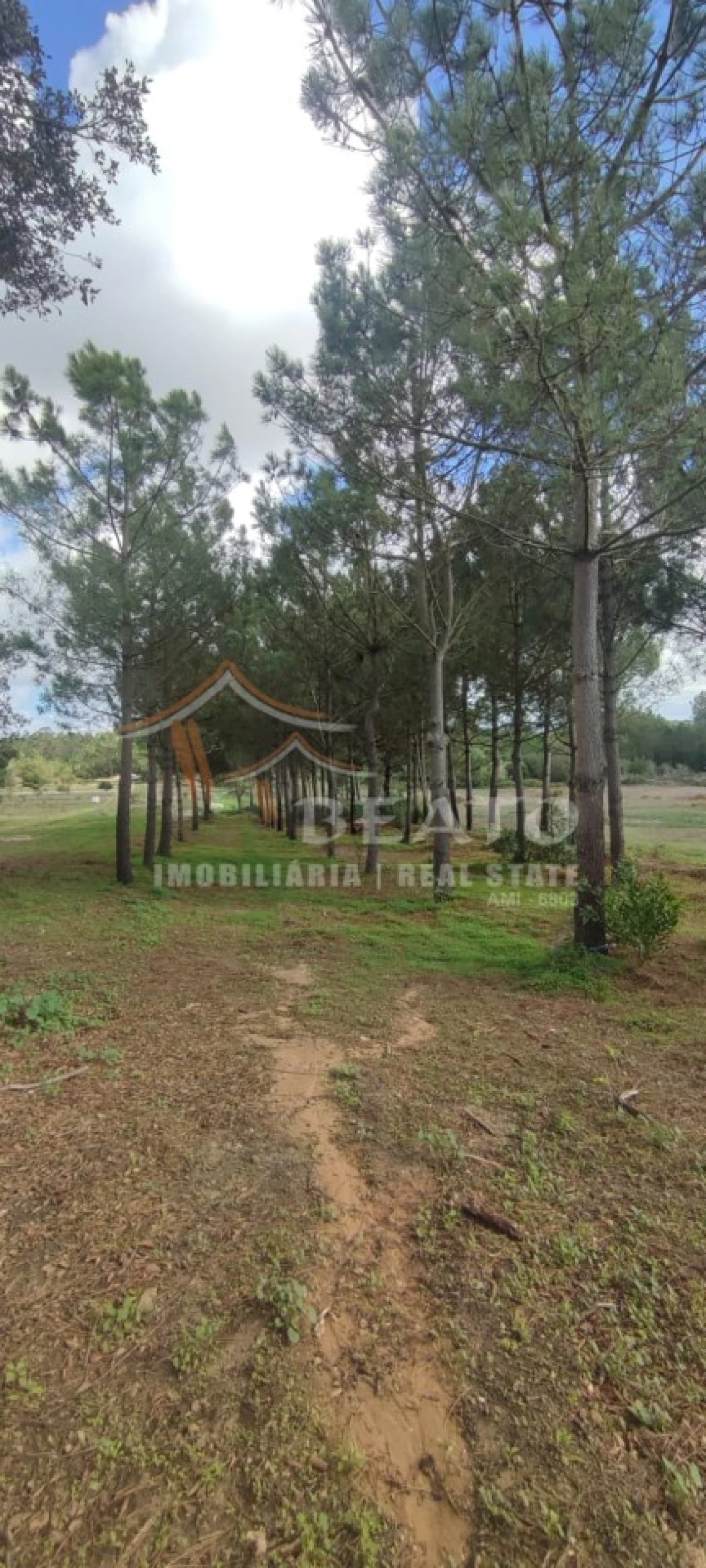 Terreno para Venda em Rogil Foto 7