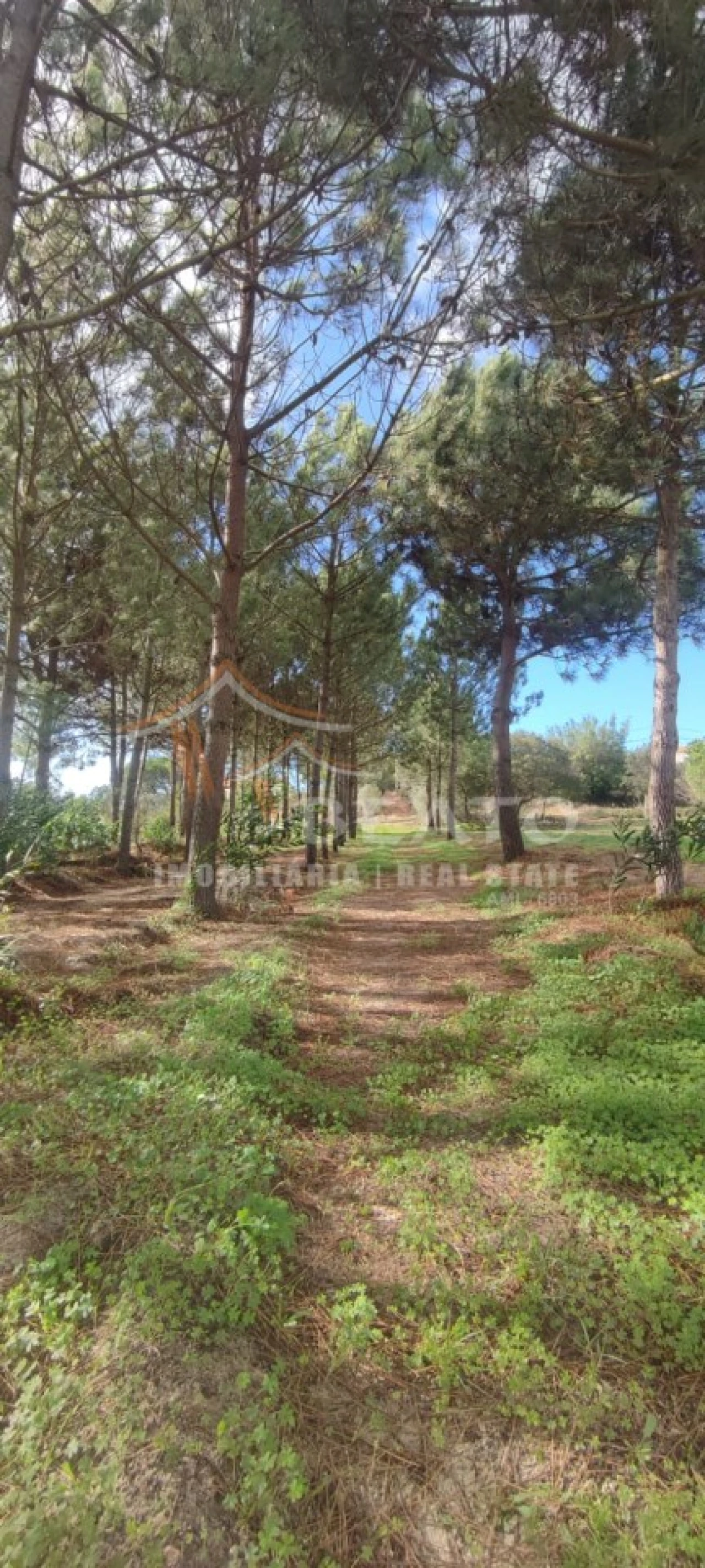 Terreno para Venda em Rogil Foto 6