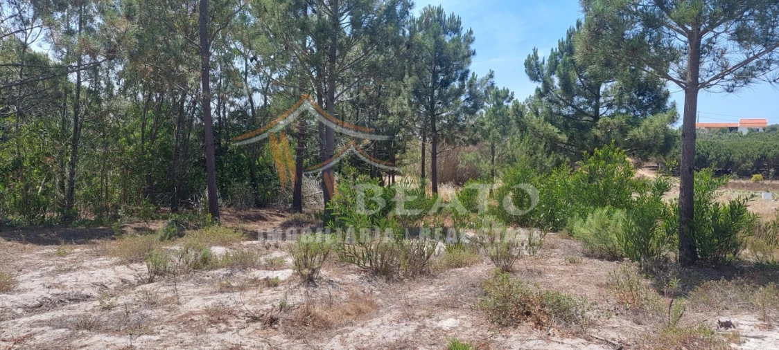 Terreno para Venda em Rogil Foto 2