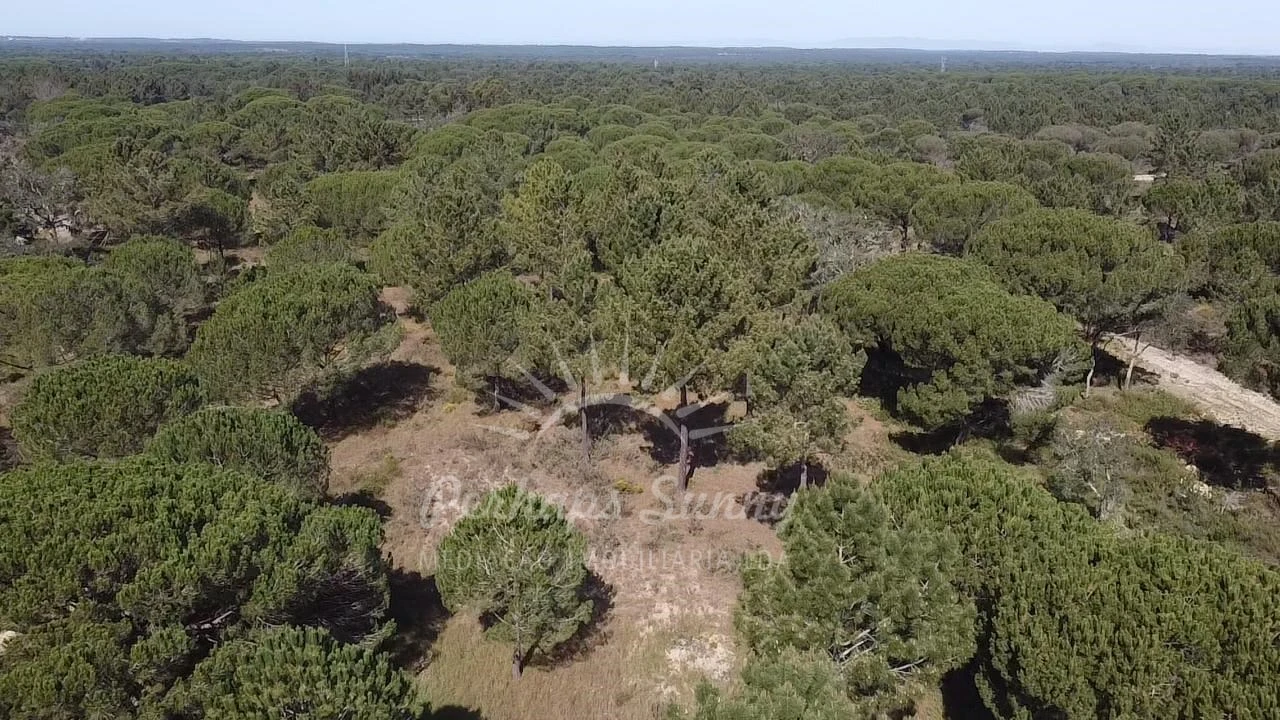 Terreno Misto para Venda em Melides Foto 2