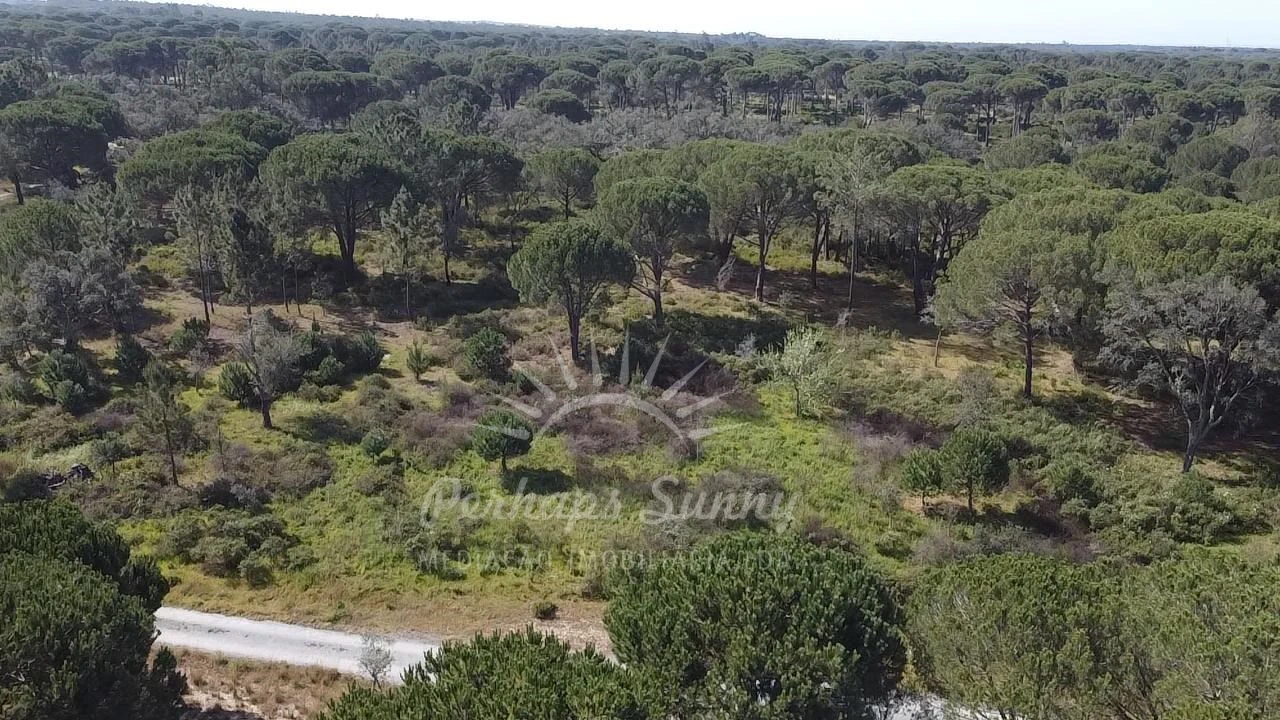 Terreno Misto para Venda em Melides Foto 13