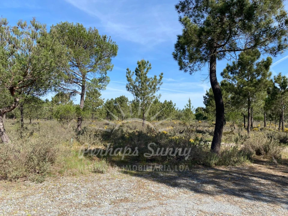 Terreno Misto para Venda em Melides Foto 14