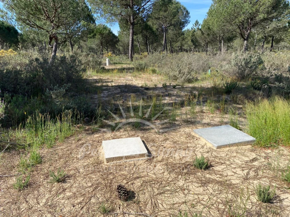 Terreno Misto para Venda em Melides Foto 8