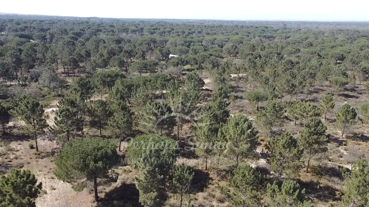 Terreno Misto para Venda em Melides Foto 3