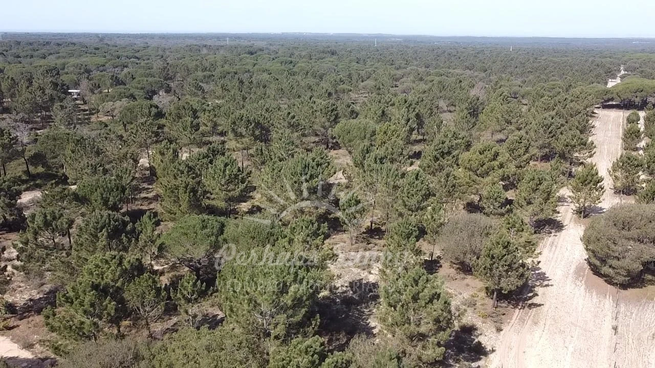 Terreno Misto para Venda em Melides Foto 5