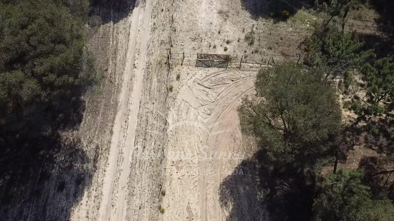 Terreno Misto para Venda em Melides Foto 15