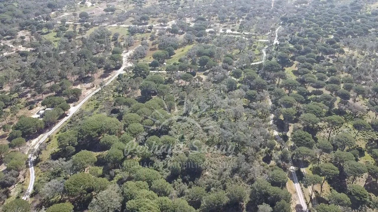 Terreno Misto para Venda em Melides Foto 16