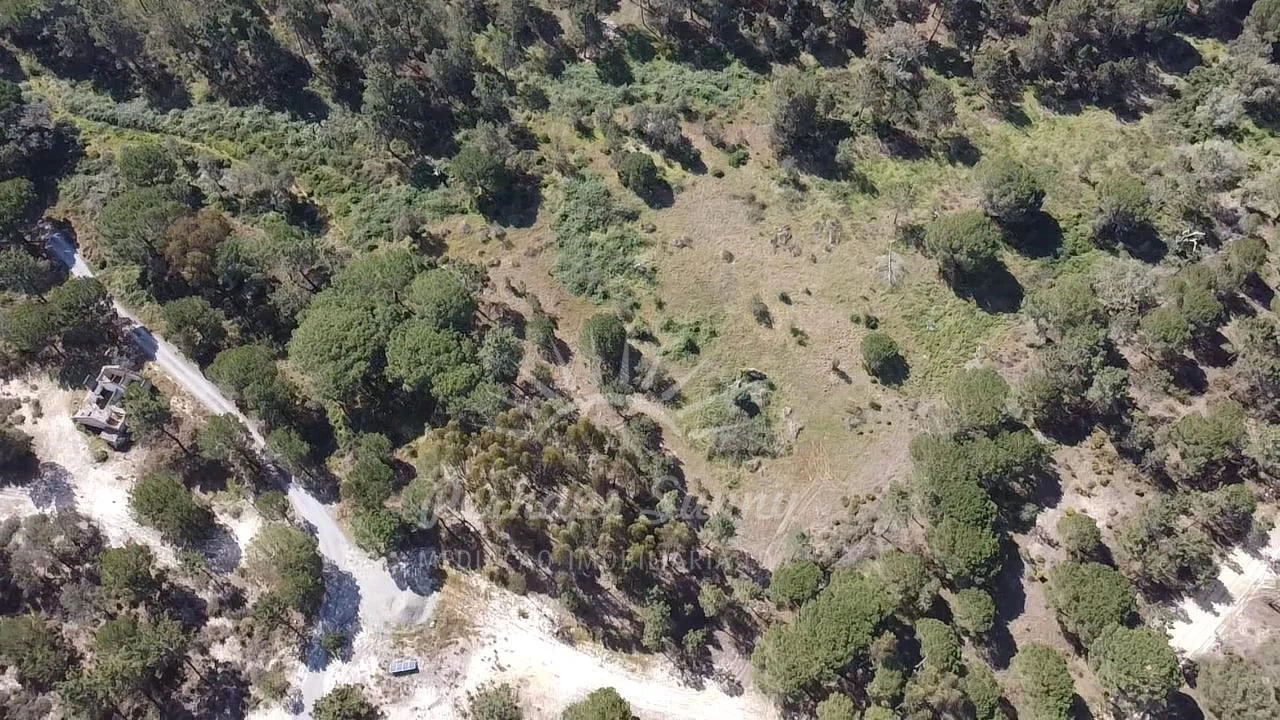 Terreno Misto para Venda em Melides Foto 17