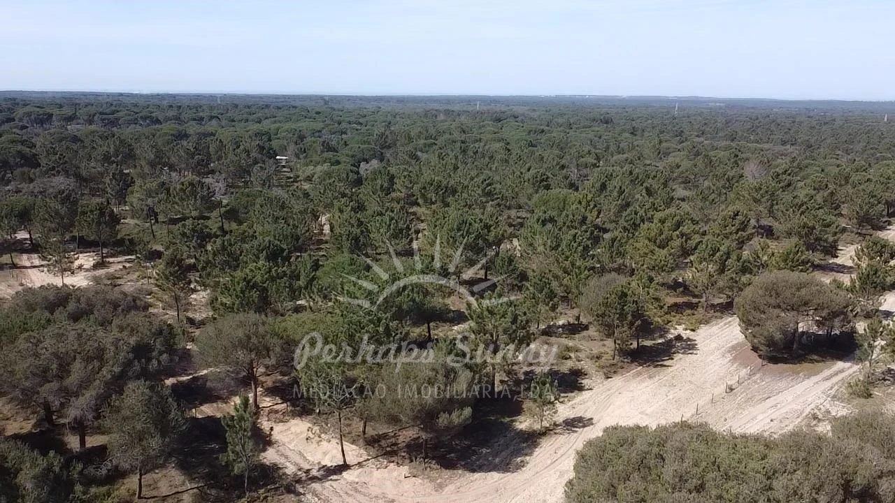 Terreno Misto para Venda em Melides Foto 19