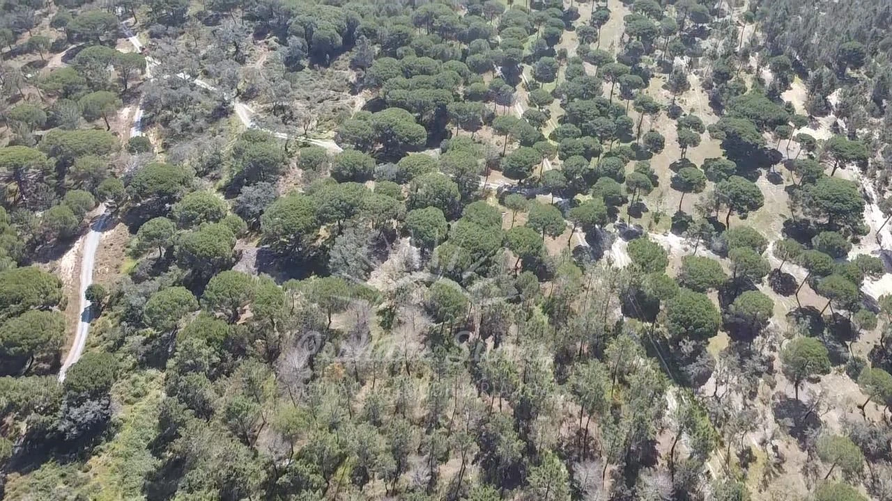 Terreno Misto para Venda em Melides Foto 21