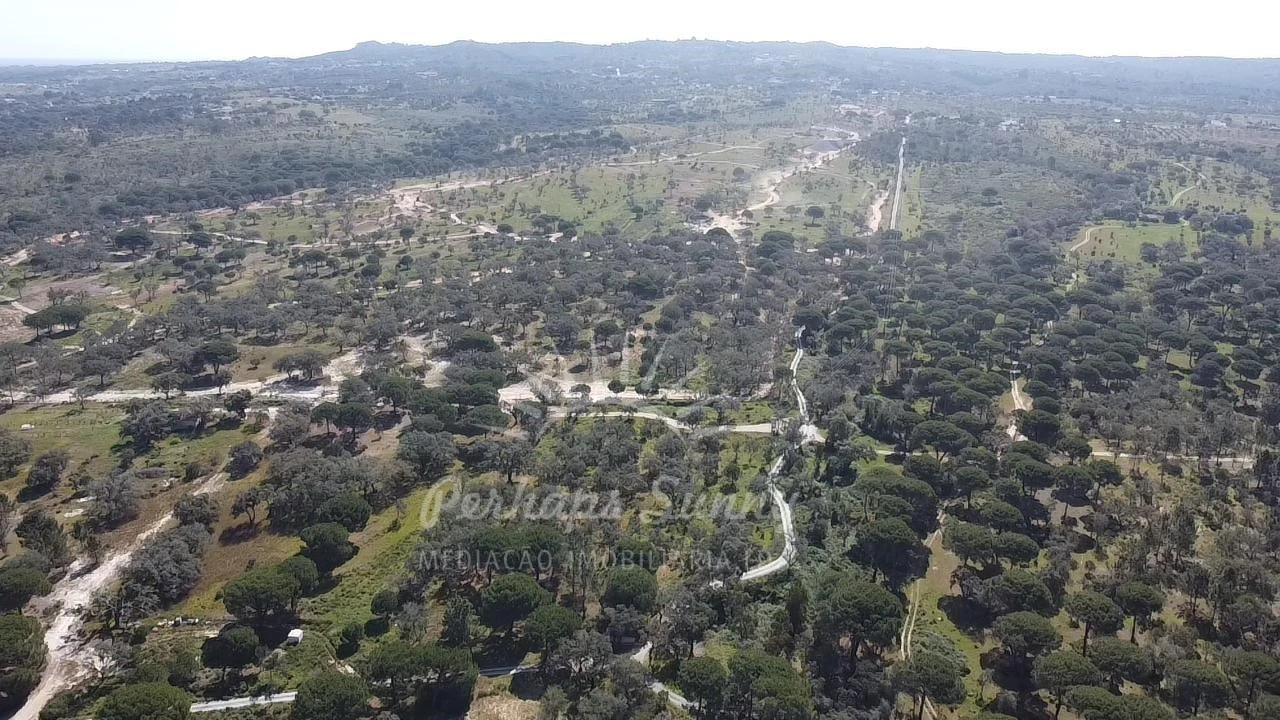 Terreno Misto para Venda em Melides Foto 22