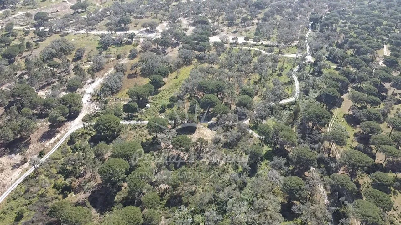 Terreno Misto para Venda em Melides Foto 25