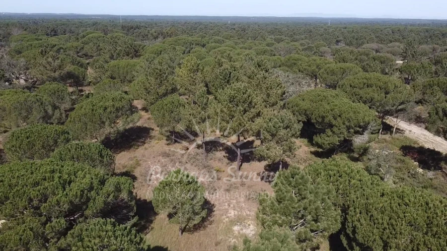 Terreno Misto para Venda em Melides Foto 2