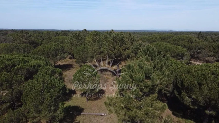 Terreno Misto para Venda em Melides Foto 11