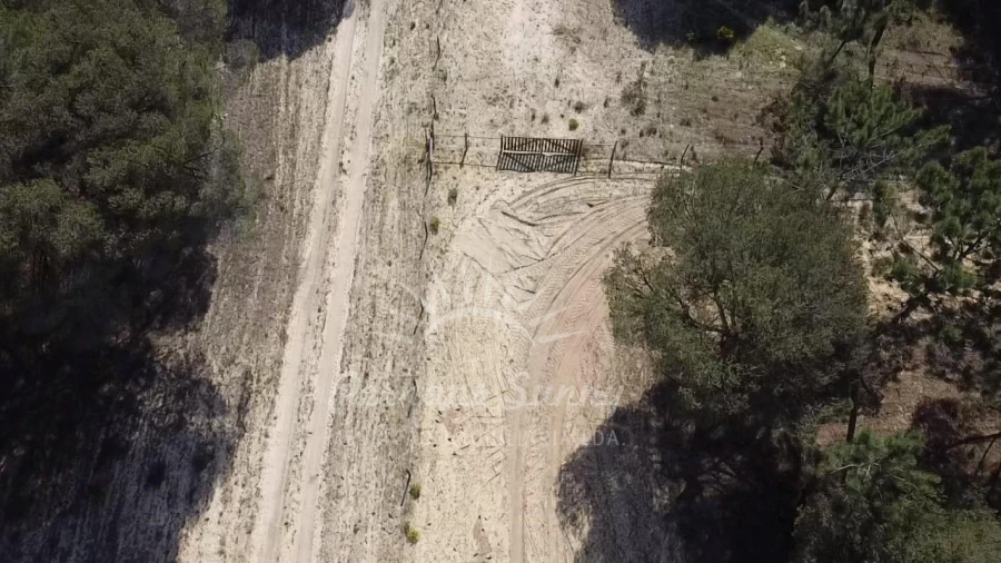 Terreno Misto para Venda em Melides Foto 15