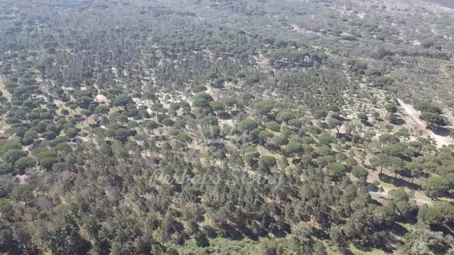 Terreno Misto para Venda em Melides Foto 6
