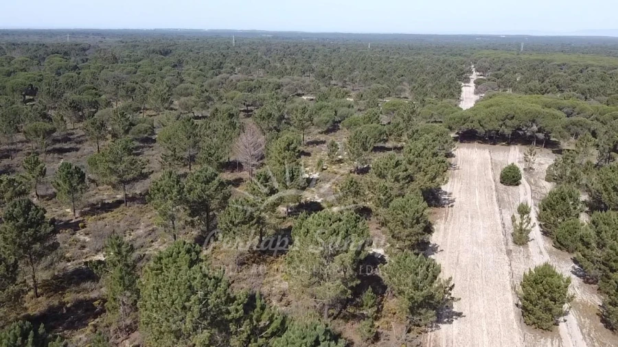 Terreno Misto para Venda em Melides Foto 18